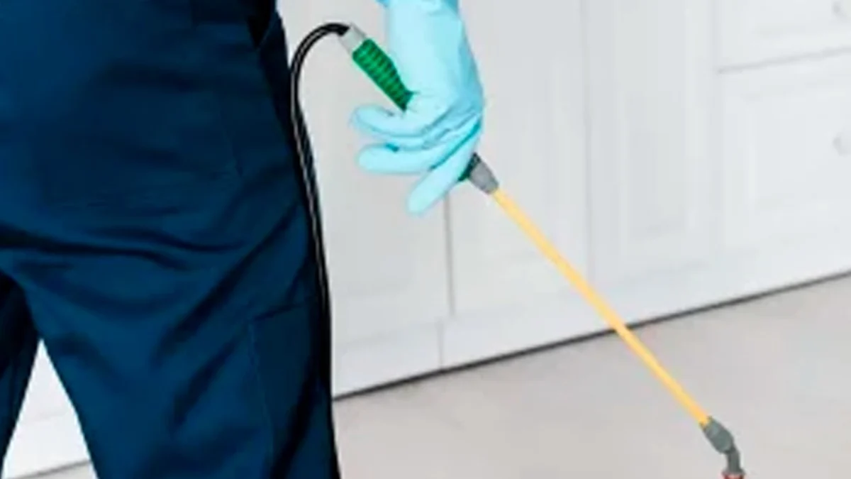 Tratamento de descupinização com aplicador e bico em rodapé de ambiente interno
